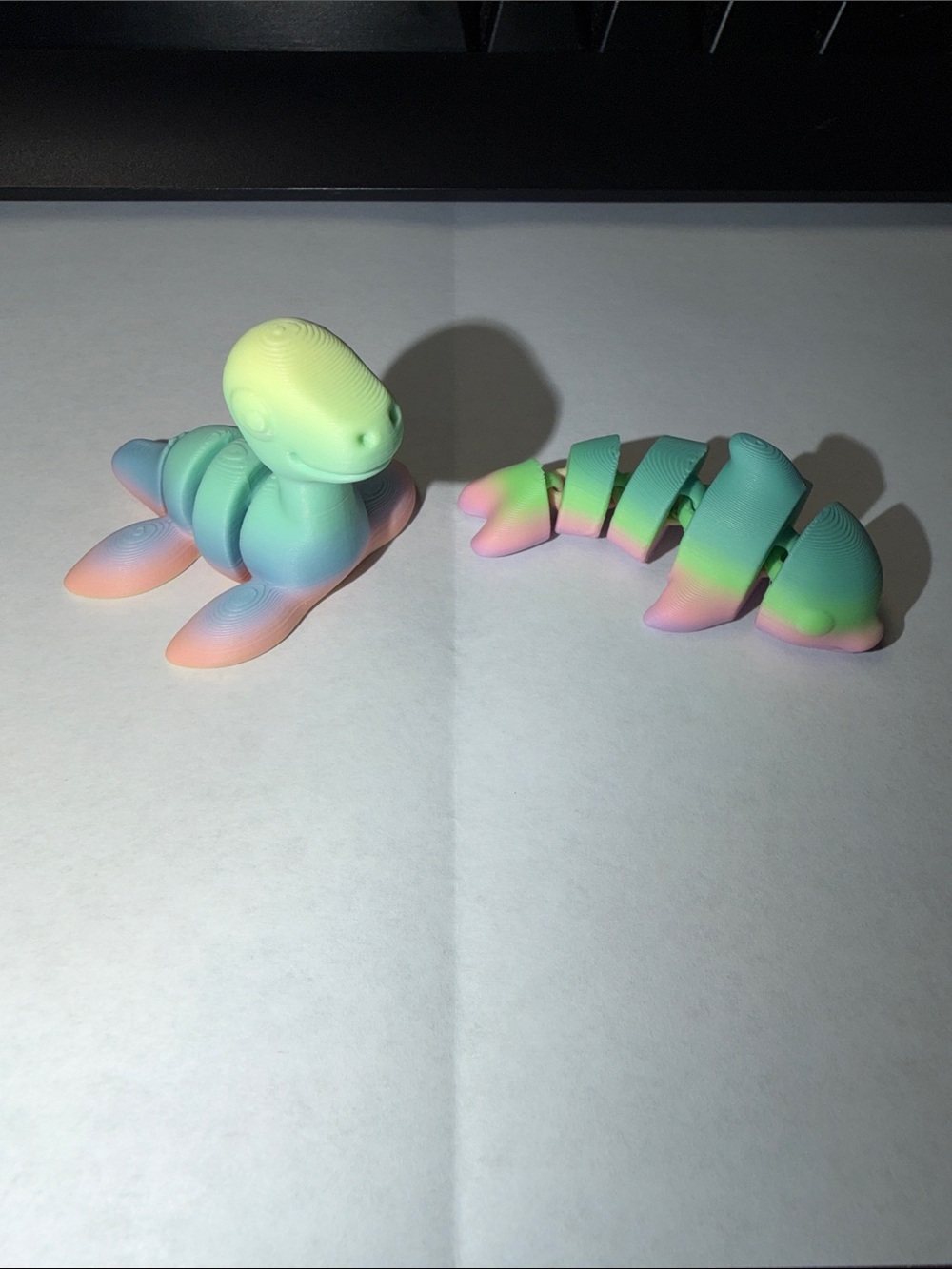 Lot of 2 3d printed fidgets- Loch Ness Monster and Dolphin